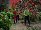ariane179254_StarTrek_2x05_TheApple_0193.jpg