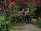 Filename=ariane179254_StarTrek_2x05_TheApple_0206.jpg
Filesize=223KiB
Dimensions=1440x1080
Date added=Jan 18, 2012 ariane179254_StarTrek_2x05_TheApple_0206.jpg