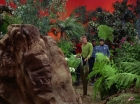 Filename=ariane179254_StarTrek_2x05_TheApple_0210.jpg
Filesize=216KiB
Dimensions=1440x1080
Date added=Jan 18, 2012 ariane179254_StarTrek_2x05_TheApple_0210.jpg