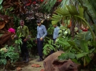 Filename=ariane179254_StarTrek_2x05_TheApple_0211.jpg
Filesize=208KiB
Dimensions=1440x1080
Date added=Jan 18, 2012 ariane179254_StarTrek_2x05_TheApple_0211.jpg