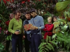 Filename=ariane179254_StarTrek_2x05_TheApple_0217.jpg
Filesize=207KiB
Dimensions=1440x1080
Date added=Jan 18, 2012 ariane179254_StarTrek_2x05_TheApple_0217.jpg