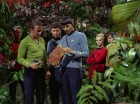 Filename=ariane179254_StarTrek_2x05_TheApple_0218.jpg
Filesize=206KiB
Dimensions=1440x1080
Date added=Jan 18, 2012 ariane179254_StarTrek_2x05_TheApple_0218.jpg