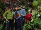 Filename=ariane179254_StarTrek_2x05_TheApple_0220.jpg
Filesize=210KiB
Dimensions=1440x1080
Date added=Jan 18, 2012 ariane179254_StarTrek_2x05_TheApple_0220.jpg