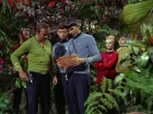 ariane179254_StarTrek_2x05_TheApple_0221.jpg