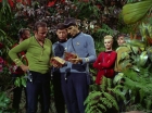 Filename=ariane179254_StarTrek_2x05_TheApple_0222.jpg
Filesize=216KiB
Dimensions=1440x1080
Date added=Jan 18, 2012 ariane179254_StarTrek_2x05_TheApple_0222.jpg