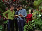 Filename=ariane179254_StarTrek_2x05_TheApple_0223.jpg
Filesize=200KiB
Dimensions=1440x1080
Date added=Jan 18, 2012 ariane179254_StarTrek_2x05_TheApple_0223.jpg