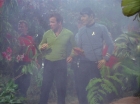 Filename=ariane179254_StarTrek_2x05_TheApple_0227.jpg
Filesize=140KiB
Dimensions=1440x1080
Date added=Jan 18, 2012 ariane179254_StarTrek_2x05_TheApple_0227.jpg