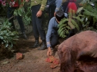 ariane179254_StarTrek_2x05_TheApple_0237.jpg