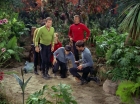 Filename=ariane179254_StarTrek_2x05_TheApple_0401.jpg
Filesize=225KiB
Dimensions=1440x1080
Date added=Jan 18, 2012 ariane179254_StarTrek_2x05_TheApple_0401.jpg