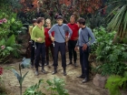 ariane179254_StarTrek_2x05_TheApple_0405.jpg