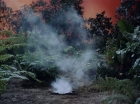 ariane179254_StarTrek_2x05_TheApple_0436.jpg