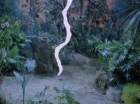 ariane179254_StarTrek_2x05_TheApple_0439.jpg