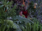 ariane179254_StarTrek_2x05_TheApple_0440.jpg