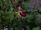 ariane179254_StarTrek_2x05_TheApple_0455.jpg