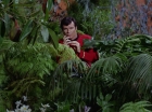 ariane179254_StarTrek_2x05_TheApple_0458.jpg
