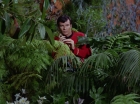 ariane179254_StarTrek_2x05_TheApple_0459.jpg