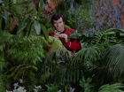 ariane179254_StarTrek_2x05_TheApple_0460.jpg