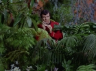 Filename=ariane179254_StarTrek_2x05_TheApple_0464.jpg
Filesize=193KiB
Dimensions=1440x1080
Date added=Jan 18, 2012 ariane179254_StarTrek_2x05_TheApple_0464.jpg