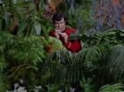 Filename=ariane179254_StarTrek_2x05_TheApple_0465.jpg
Filesize=195KiB
Dimensions=1440x1080
Date added=Jan 18, 2012 ariane179254_StarTrek_2x05_TheApple_0465.jpg