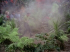ariane179254_StarTrek_2x05_TheApple_0478.jpg