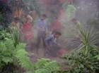 ariane179254_StarTrek_2x05_TheApple_0481.jpg