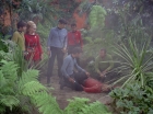 ariane179254_StarTrek_2x05_TheApple_0486.jpg