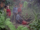 Filename=ariane179254_StarTrek_2x05_TheApple_0487.jpg
Filesize=185KiB
Dimensions=1440x1080
Date added=Jan 18, 2012 ariane179254_StarTrek_2x05_TheApple_0487.jpg