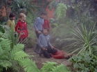 Filename=ariane179254_StarTrek_2x05_TheApple_0488.jpg
Filesize=197KiB
Dimensions=1440x1080
Date added=Jan 18, 2012 ariane179254_StarTrek_2x05_TheApple_0488.jpg