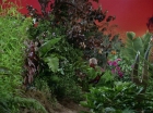 ariane179254_StarTrek_2x05_TheApple_0523.jpg