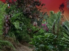 ariane179254_StarTrek_2x05_TheApple_0524.jpg