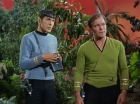 ariane179254_StarTrek_2x05_TheApple_0659.jpg