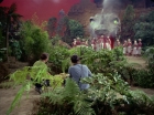 ariane179254_StarTrek_2x05_TheApple_0854.jpg