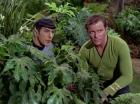 ariane179254_StarTrek_2x05_TheApple_0855.jpg