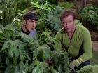 ariane179254_StarTrek_2x05_TheApple_0858.jpg