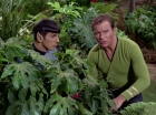 ariane179254_StarTrek_2x05_TheApple_0862.jpg