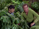 ariane179254_StarTrek_2x05_TheApple_0863.jpg