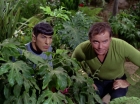 ariane179254_StarTrek_2x05_TheApple_0864.jpg
