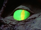 ariane179254_StarTrek_2x05_TheApple_0865.jpg