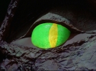 ariane179254_StarTrek_2x05_TheApple_0869.jpg