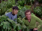 ariane179254_StarTrek_2x05_TheApple_0871.jpg
