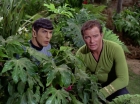 ariane179254_StarTrek_2x05_TheApple_0874.jpg