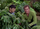 ariane179254_StarTrek_2x05_TheApple_0876.jpg
