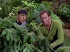 ariane179254_StarTrek_2x05_TheApple_0879.jpg