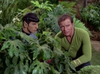 Filename=ariane179254_StarTrek_2x05_TheApple_0882.jpg
Filesize=191KiB
Dimensions=1440x1080
Date added=Jan 18, 2012 ariane179254_StarTrek_2x05_TheApple_0882.jpg