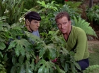 ariane179254_StarTrek_2x05_TheApple_0885.jpg