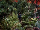 ariane179254_StarTrek_2x05_TheApple_0889.jpg