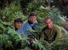 ariane179254_StarTrek_2x05_TheApple_0891.jpg