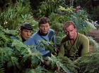 ariane179254_StarTrek_2x05_TheApple_0892.jpg