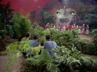 ariane179254_StarTrek_2x05_TheApple_0893.jpg
