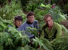ariane179254_StarTrek_2x05_TheApple_0894.jpg